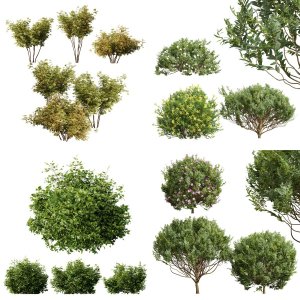 10 Different SETS Of Bush. SET VOL11