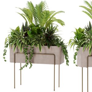 Indoor Plant Set51