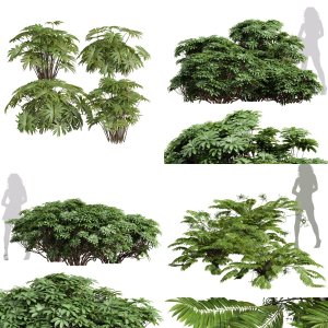 5 Different SETS Of Bush. SET VOL17