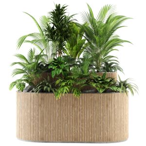 Indoor Plant Set52