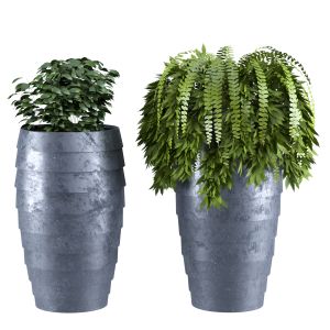 Decorative Plant Set 01