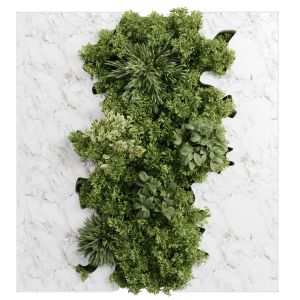 Vertical Graden Green Wall Decor - Plants Set Part