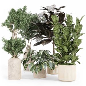 Indoor Plant Set With Plant Tree Concrete Dirt Vas