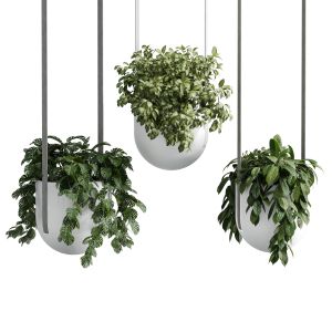 Kabo Pydo Jungle Pot Light Pendant - Plant Light H