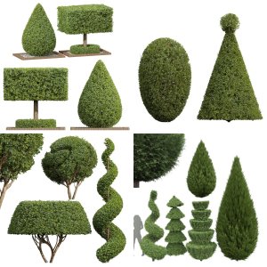 5 Different SETS Of Bush Tree. SET VOL21