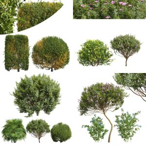 5 Different SETS Of Bush. SET VOL23