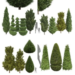 5 Different SETS Of Tree. SET VOL26