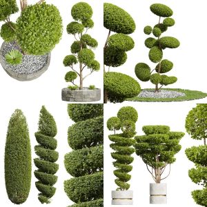 5 Different SETS of Tree. SET VOL31