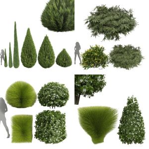 5 Different SETS of Bush. SET VOL39