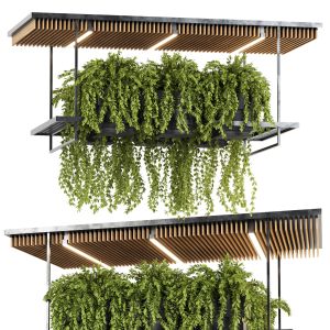 Indoor Hanging Plants In Metal Box Set54