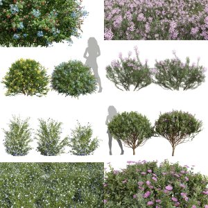 5 Different SETS of Bush. SET VOL42