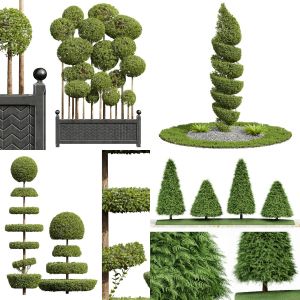 5 Different SETS of Tree. SET VOL44