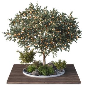 Tree And Bush Garden Box Outdoor  Vol 01