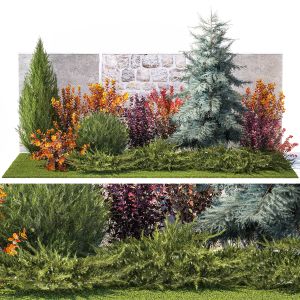 Garden Trees Thuja Cypress Spruce Berberis Pine