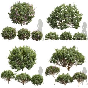 5 Different SETS of Bush. SET VOL45