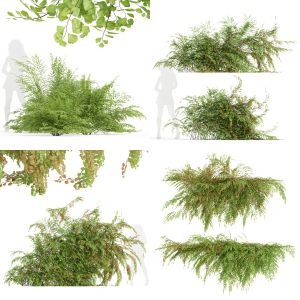 5 Different SETS of Wall Plant. SET VOL47