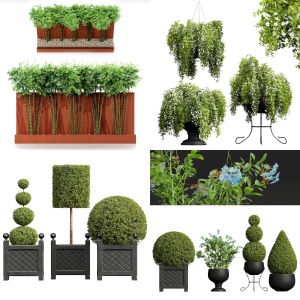 5 Different SETS of Shrub Pot. SET VOL48