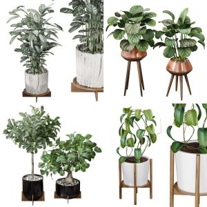 7 Different SETS of Pot Plant. SET VOL49