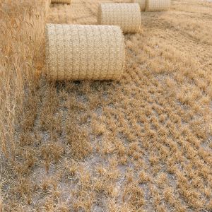 Grass Round Hay Bale Farm Ground