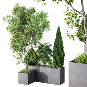 Hq Tree And Bush Garden Box Outdoor  Vol 03