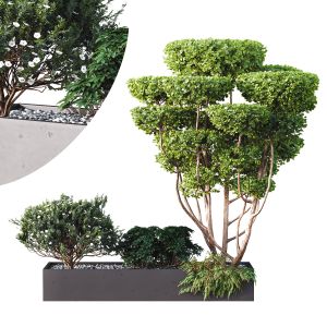 Hq Tree And Bush Garden Box Outdoor  Vol 02