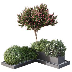 Hq Tree And Bush Garden Box Outdoor  Vol 06