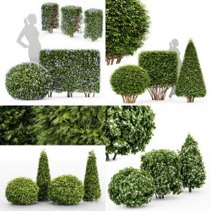 5 Different SETS of Bush. SET VOL60