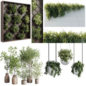 set indoor plant - outdoor plant - hanging plant - Vertical Garden plant