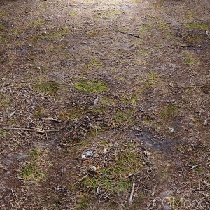 Soil 1 (seamless, PBR)