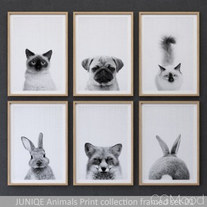 Animals Print Collection Framed Set-01