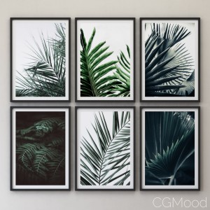 Tropical Set-01 Framed