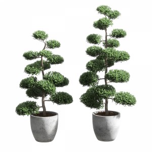 Bonsai With Spherical Branches. 2 Models