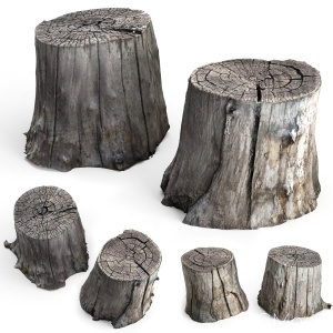 Photoscan Of Two Stumps