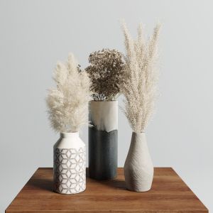 Pampas Vase Set 1