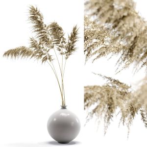 Vase With Dried Flowers 0002