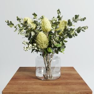 Banksia Serrata Set