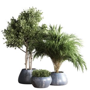 Indoor Plant Stand 18