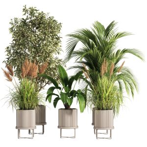 Indoor Plant Set 40