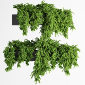 Outdoor Planter Box Hanging Plant 02