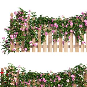 Rose Plant Set 48