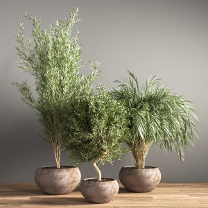 Indoor Plant Stand 20