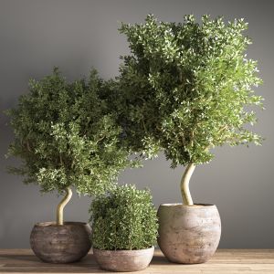 Indoor Plant Stand 22