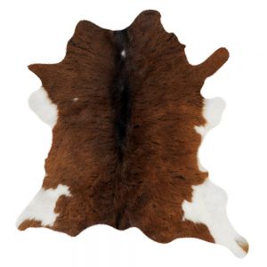 Animal Skin Rug 13