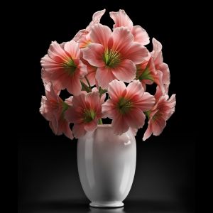 Light Pink Amaryllis