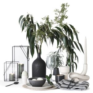 Tableware With Eucalyptus