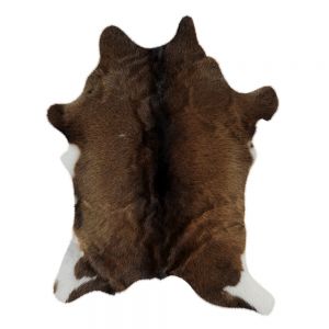 Animal Skin Rug 15