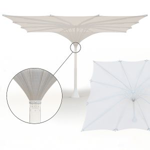 Mdt Umbrella Tulip