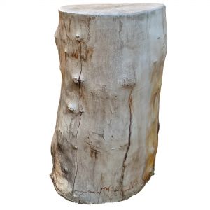 Tree Trunk 18