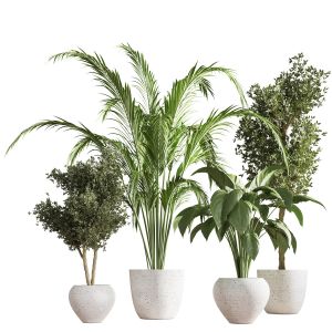 Indoor Plant Stand 26