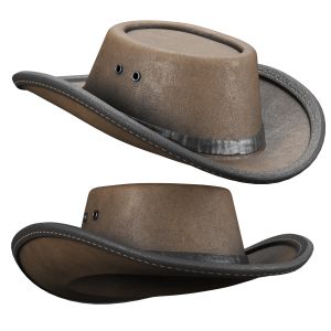 Cowboy Hat